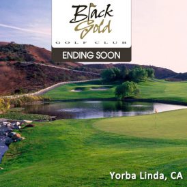 Black Gold