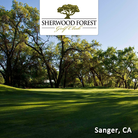 Sherwood Forest
