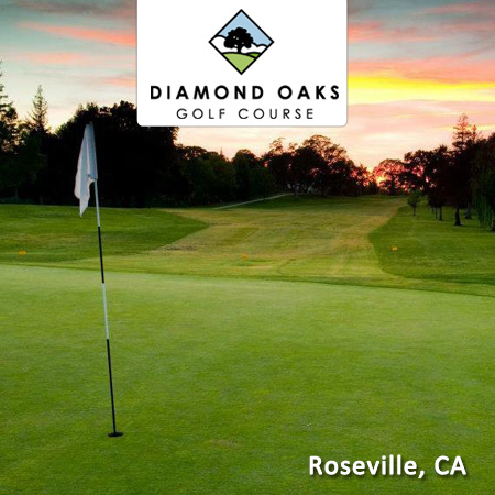 Diamond Oaks