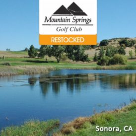 Mountain Springs