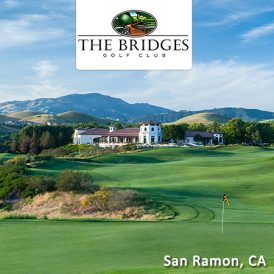 The Bridges