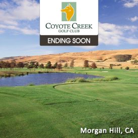 Coyote Creek