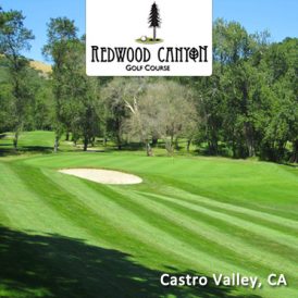 Redwood Canyon