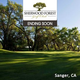 Sherwood Forest ES