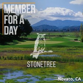 StoneTree