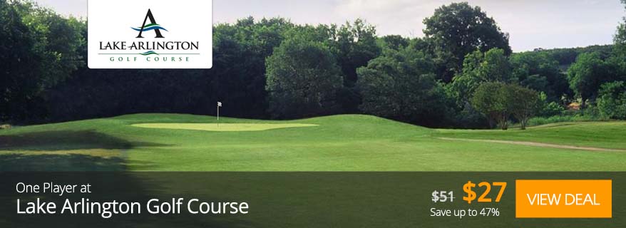 Lake Arlington Meta CoBrand