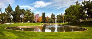 Crow Canyon Country Club