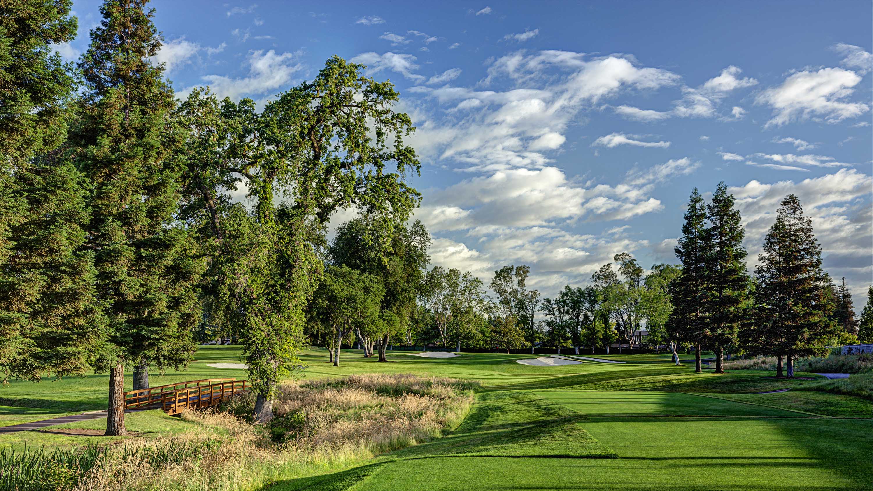 Del Paso Country Club Golf Moose Del Paso Country Club Golf Moose