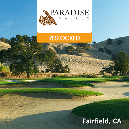 Paradise Valley Featured RESTOCKED