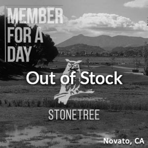 stonetree golf club novato