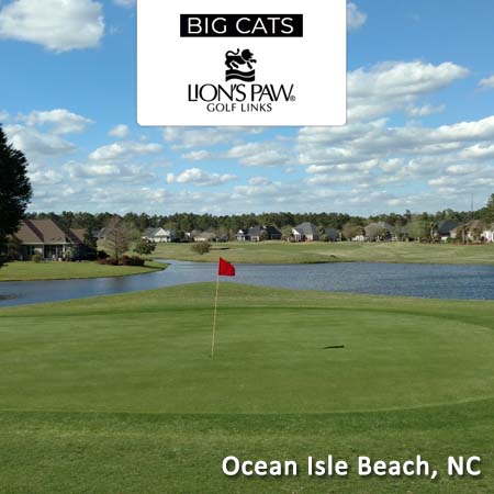 Big Cats - Lions Paw - Ocean Isle Beach, NC - Save up to 47%