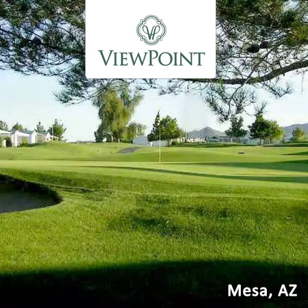 Viewpoint EXEC Featured
